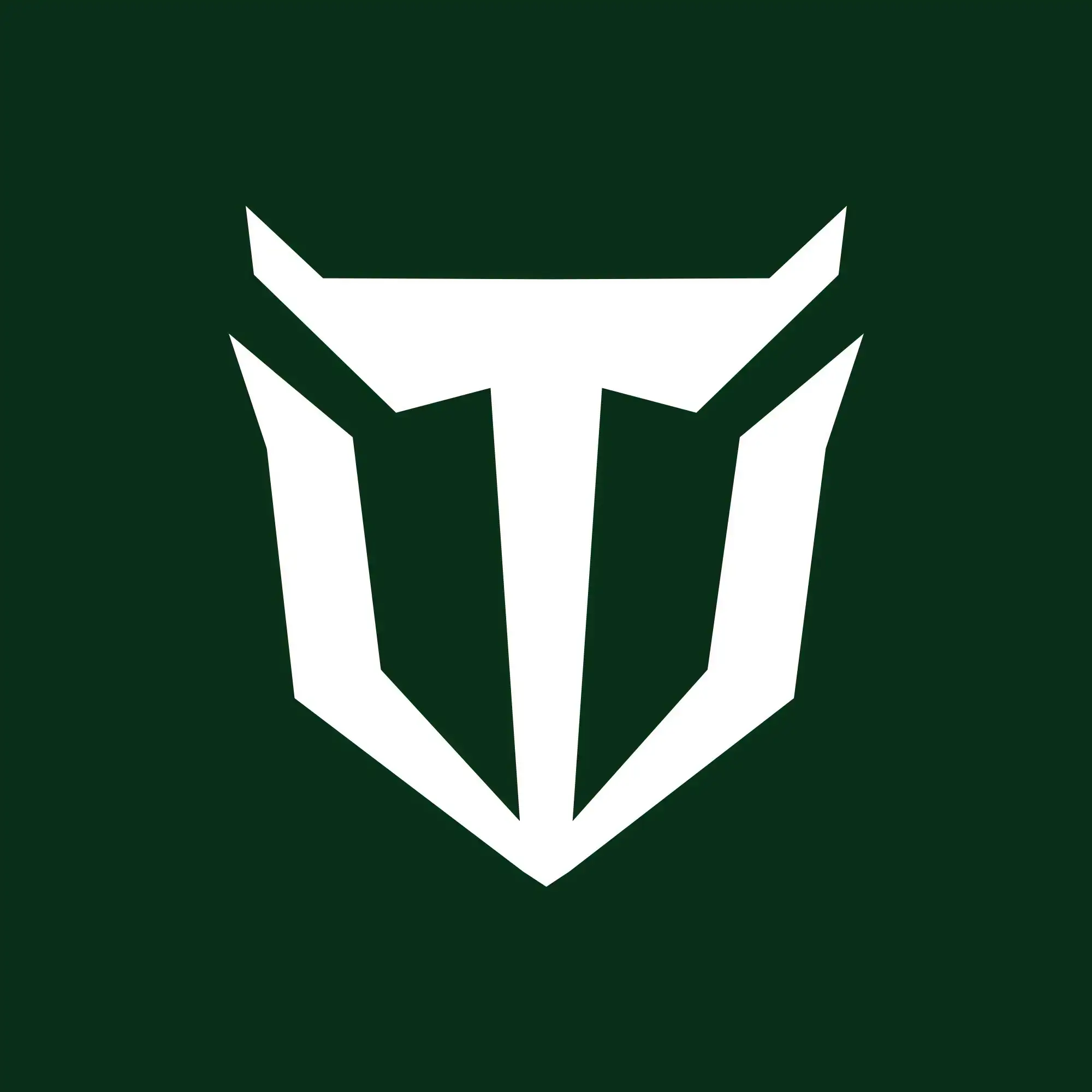 TideWe logo