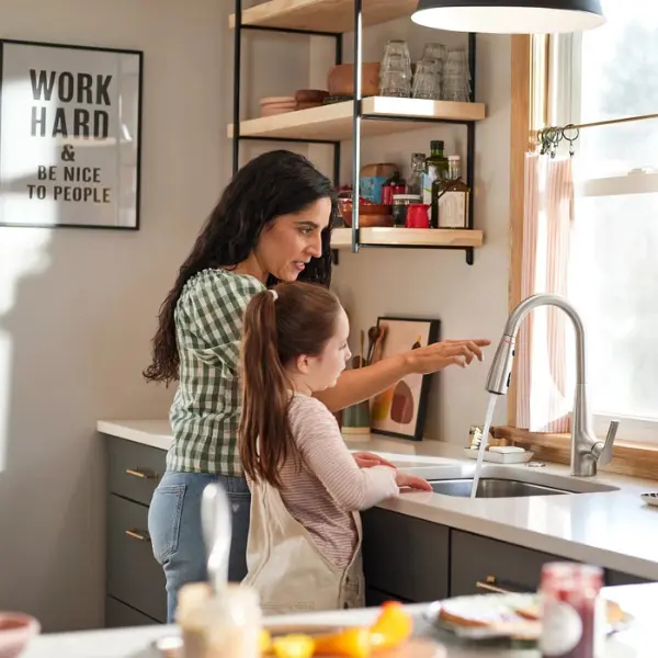 Moen coupon