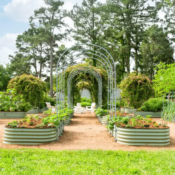 Vego Garden coupon